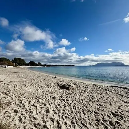 Giglio 15 Apartment Olbia