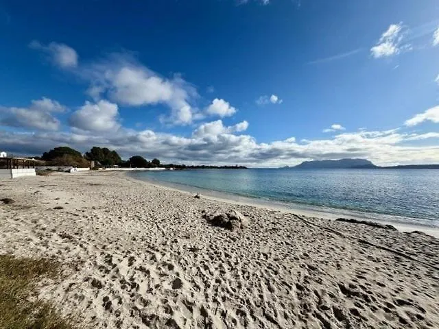 Giglio 15 Appartement Olbia