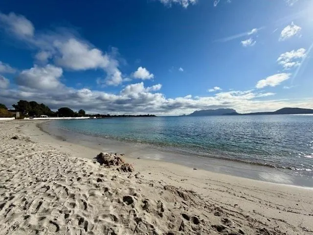 Apartment Giglio 15 *